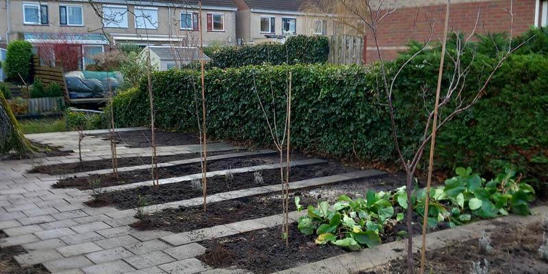 Illustratie bij nieuwbericht Velserbroek krijgt eetbare buurttuin: De Bloeiende Boterbloem